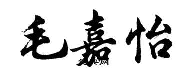 胡問遂毛嘉怡行書個性簽名怎么寫