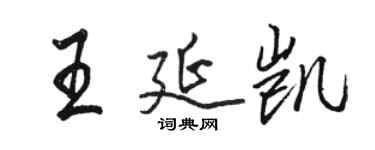 駱恆光王延凱行書個性簽名怎么寫