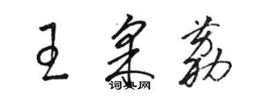 駱恆光王采荔草書個性簽名怎么寫