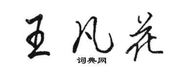 駱恆光王凡花行書個性簽名怎么寫