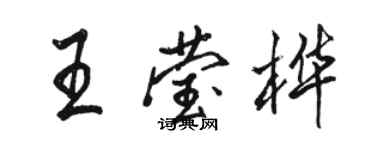 駱恆光王瑩樺行書個性簽名怎么寫