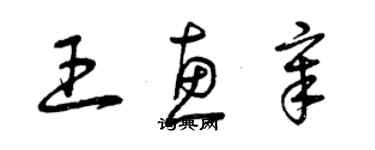 曾慶福王惠章草書個性簽名怎么寫