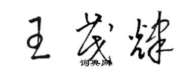 駱恆光王茂輝草書個性簽名怎么寫