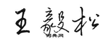 駱恆光王毅松行書個性簽名怎么寫