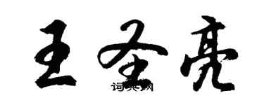 胡問遂王聖亮行書個性簽名怎么寫