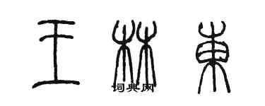 陳墨王林東篆書個性簽名怎么寫