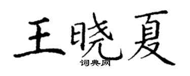 丁謙王曉夏楷書個性簽名怎么寫