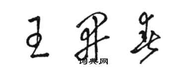 駱恆光王開春草書個性簽名怎么寫