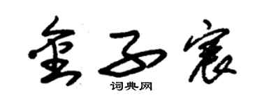 朱錫榮金子宸草書個性簽名怎么寫