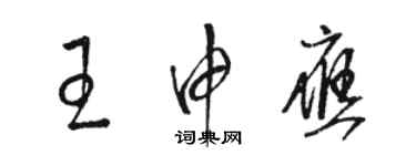 駱恆光王申應草書個性簽名怎么寫