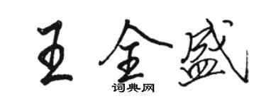 駱恆光王全盛行書個性簽名怎么寫