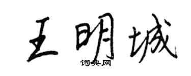 王正良王明城行書個性簽名怎么寫