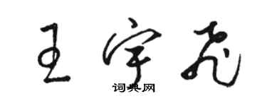 駱恆光王宇飛草書個性簽名怎么寫