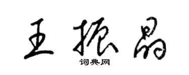 梁錦英王振晶草書個性簽名怎么寫