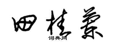 朱錫榮田桂蘭草書個性簽名怎么寫