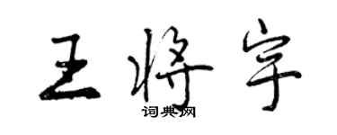 曾慶福王將宇行書個性簽名怎么寫