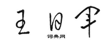 駱恆光王日軍草書個性簽名怎么寫