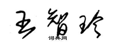 朱錫榮王智玲草書個性簽名怎么寫