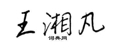 王正良王湘凡行書個性簽名怎么寫