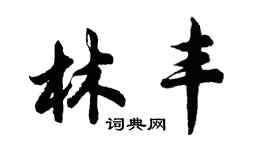 胡問遂林豐行書個性簽名怎么寫