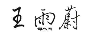 駱恆光王雨蔚行書個性簽名怎么寫