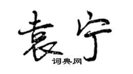 曾慶福袁寧行書個性簽名怎么寫