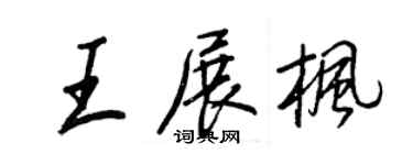 王正良王展楓行書個性簽名怎么寫