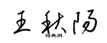 梁錦英王秋陽草書個性簽名怎么寫