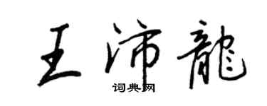 王正良王沛龍行書個性簽名怎么寫
