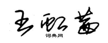 朱錫榮王虹茜草書個性簽名怎么寫