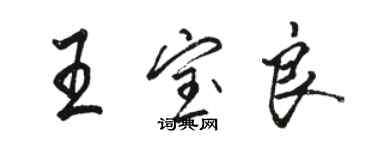 駱恆光王寶良行書個性簽名怎么寫