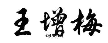 胡問遂王增梅行書個性簽名怎么寫