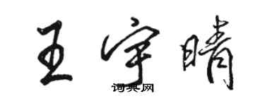 駱恆光王宇晴行書個性簽名怎么寫