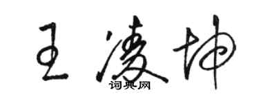 駱恆光王凌坤草書個性簽名怎么寫