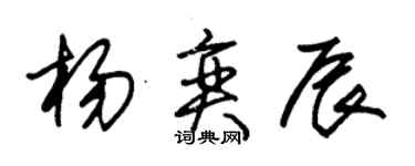 朱錫榮楊奕辰草書個性簽名怎么寫