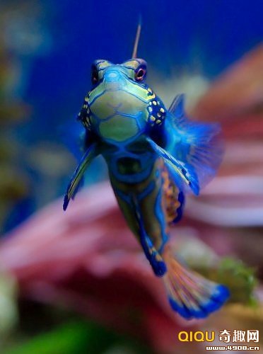 晚明西學領袖徐光啟簡介 徐光啟皈依天主教？