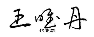 曾慶福王唯丹草書個性簽名怎么寫