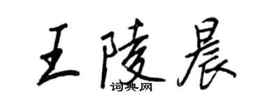 王正良王陵晨行書個性簽名怎么寫
