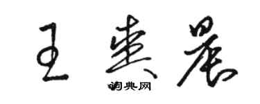 駱恆光王爽晨草書個性簽名怎么寫