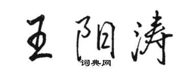 駱恆光王陽濤行書個性簽名怎么寫