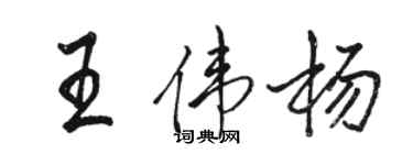 駱恆光王偉楊行書個性簽名怎么寫