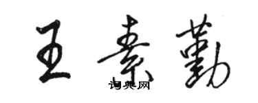 駱恆光王素勤行書個性簽名怎么寫