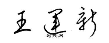 梁錦英王運新草書個性簽名怎么寫