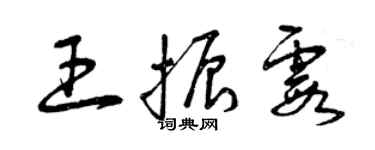 曾慶福王振霞草書個性簽名怎么寫