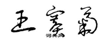 曾慶福王賽菊草書個性簽名怎么寫