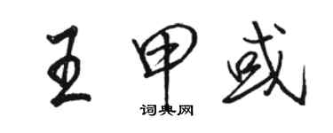 駱恆光王甲或行書個性簽名怎么寫