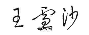 駱恆光王雪沙草書個性簽名怎么寫