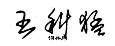 朱錫榮王科猛草書個性簽名怎么寫