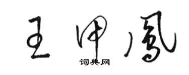 駱恆光王甲鳳草書個性簽名怎么寫