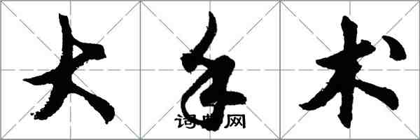 胡問遂大手術行書怎么寫